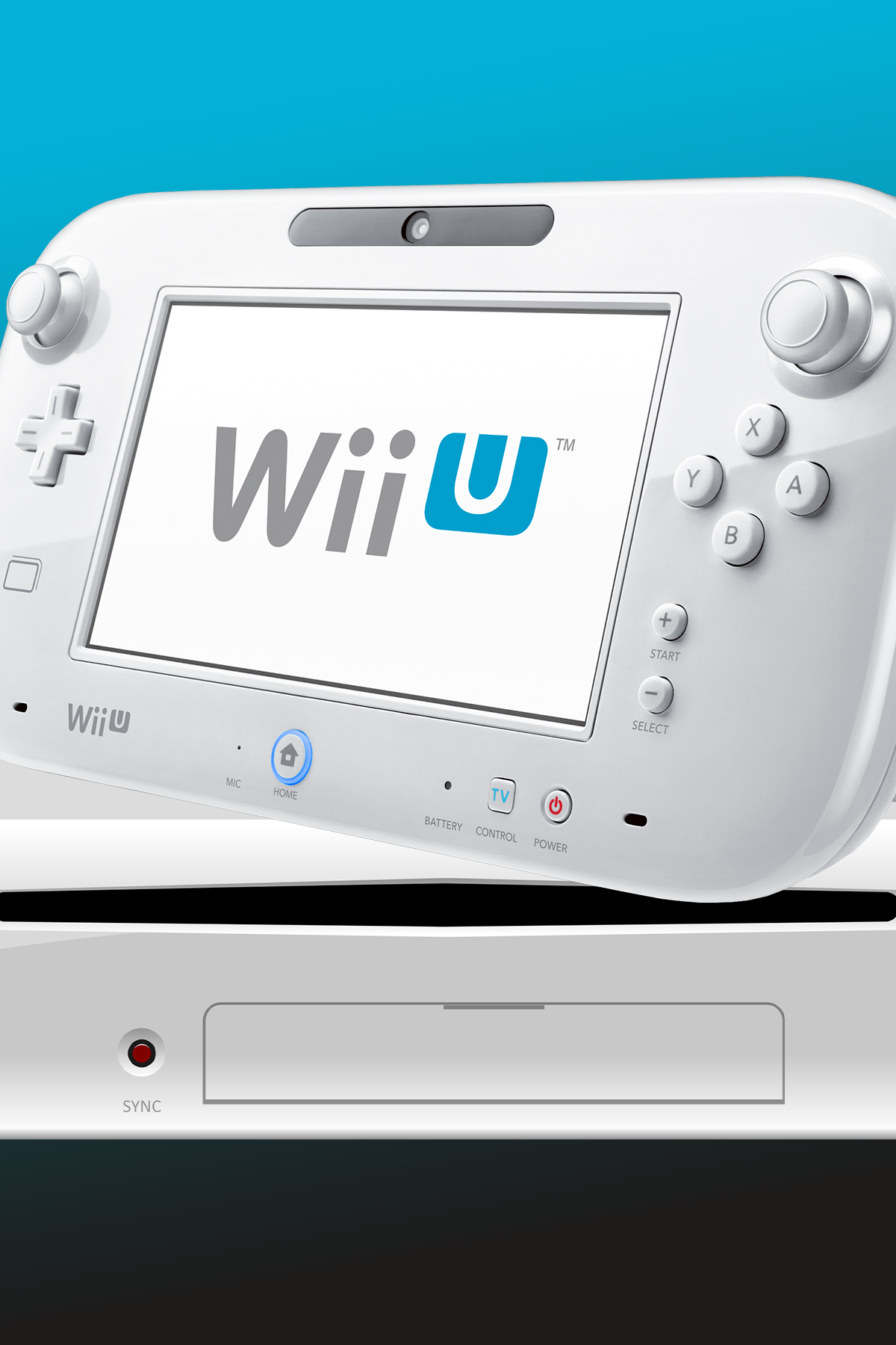 NintendoWiiUTagPhoto