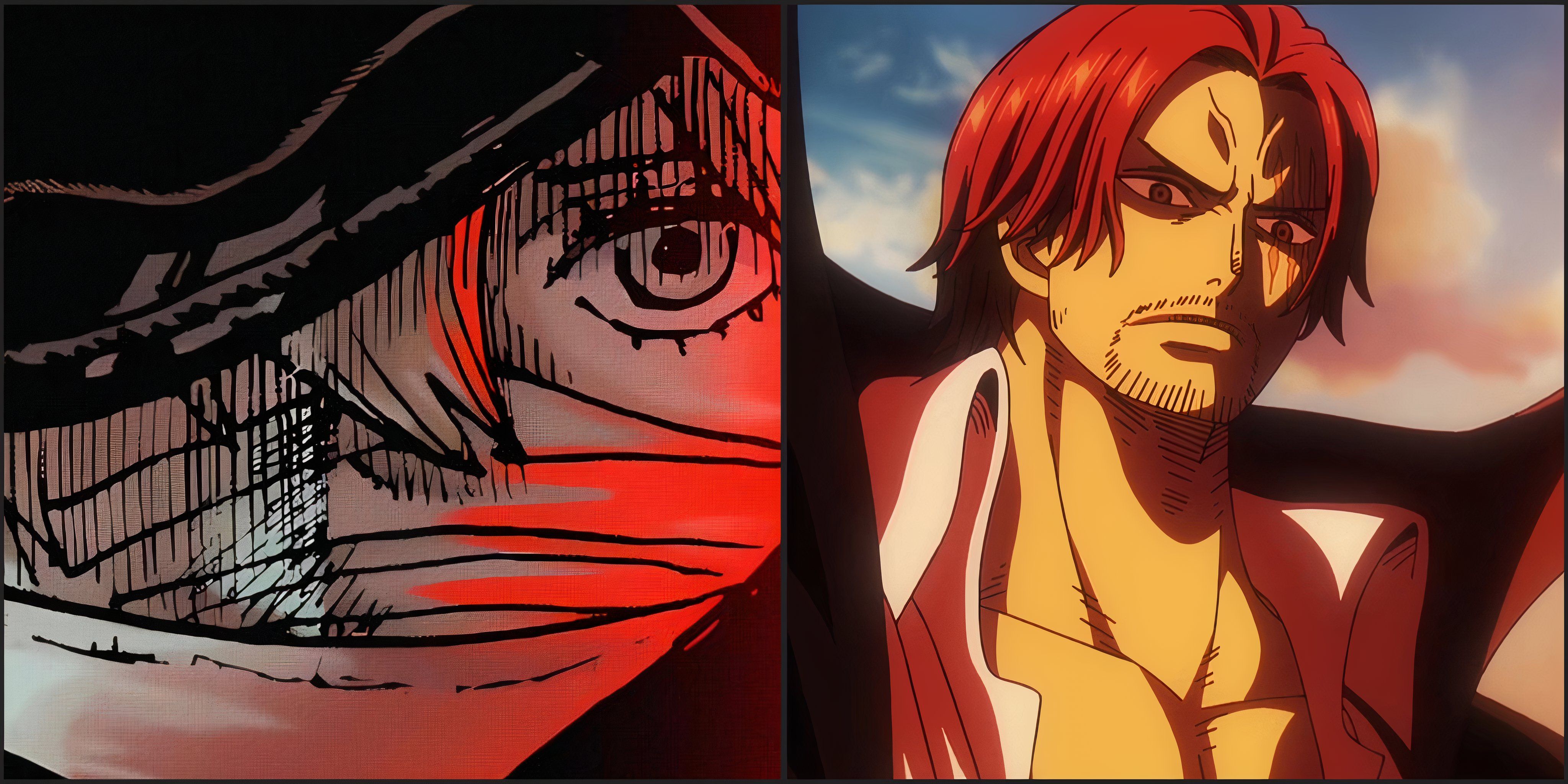 Shanks Sister One Piece