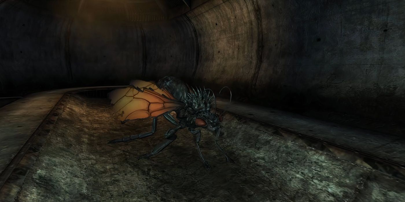 A flying enemy Cazador resting on the ground in a tunnel.