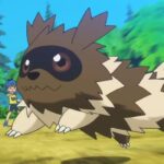 Pokemon GO Player Catches Super Rare Zigzagoon Variant