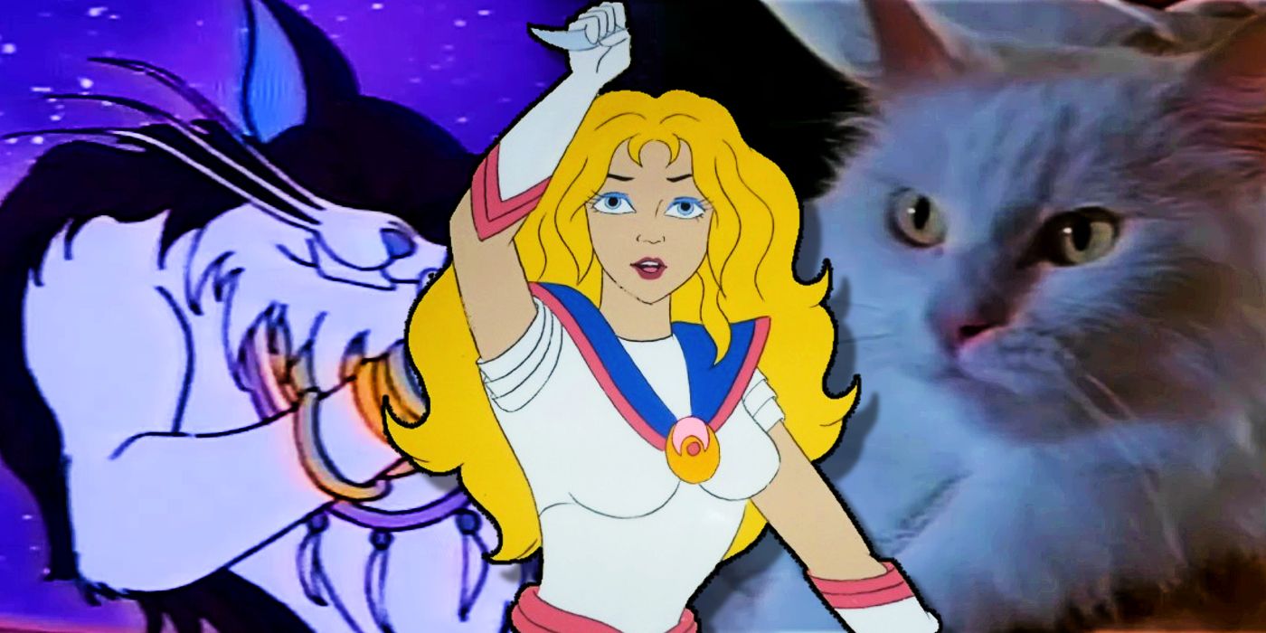 Sailor Moon Toonmakers Pilot Found