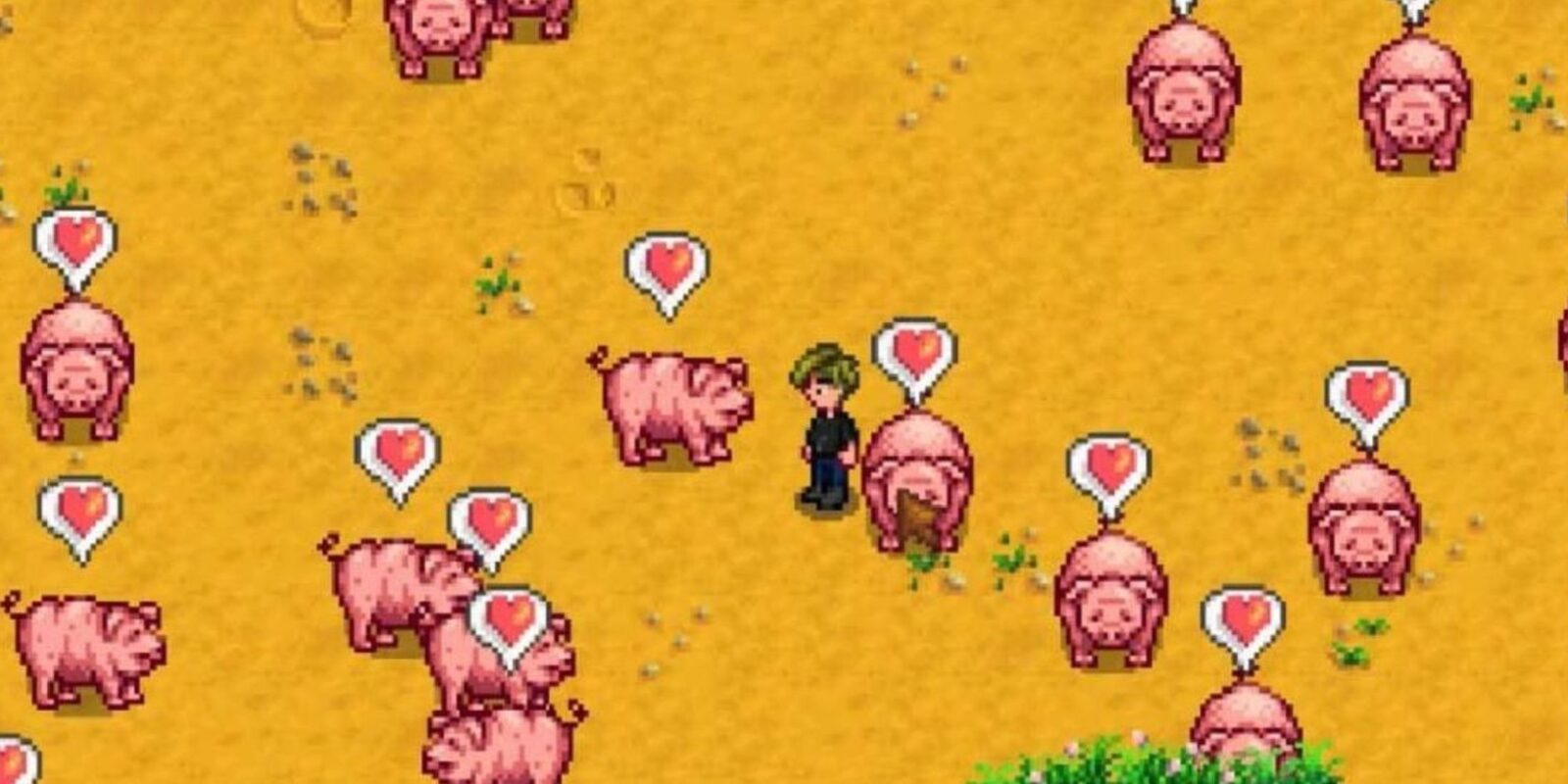 Stardew Valley Player Forgets to Harvest Pigs, Ends Up With a Ton of Truffles