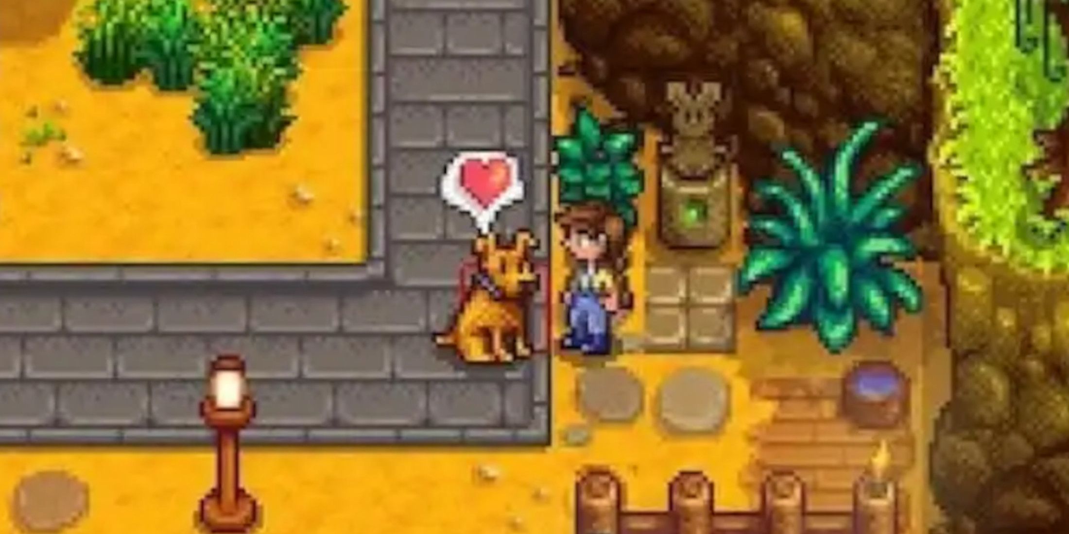 stardew valley pet brings player rare gift