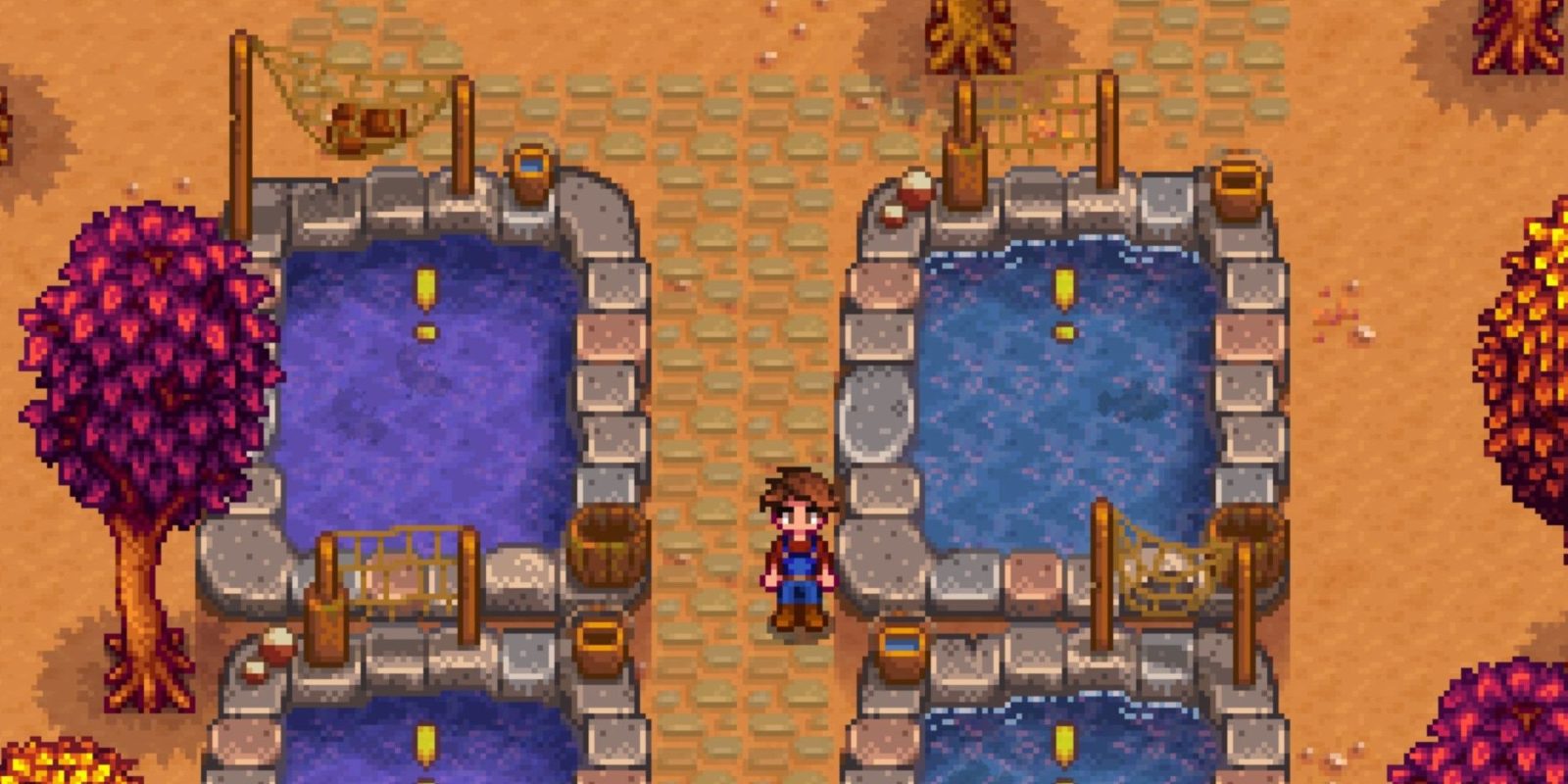 Stardew Valley Player Gets Odd Request from Eel Pond