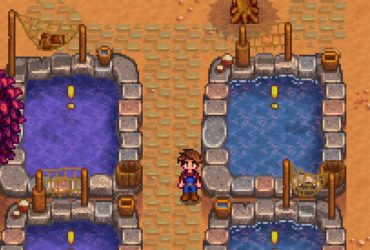 Stardew Valley Player Gets Odd Request from Eel Pond