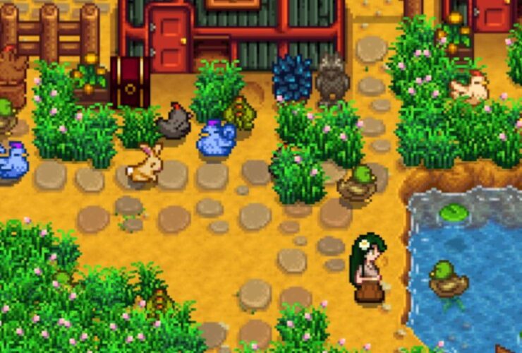 Stardew Valley Player Shares Easy Way to Make Ducks Swim