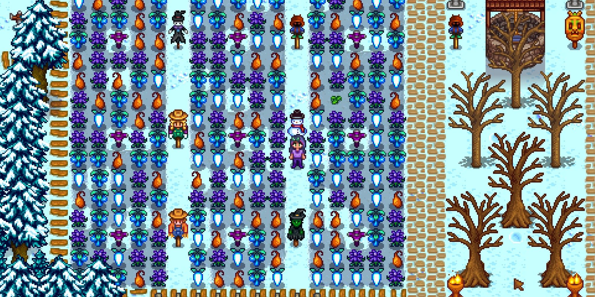 Winter seeds planted in farm in Stardew Valley. 