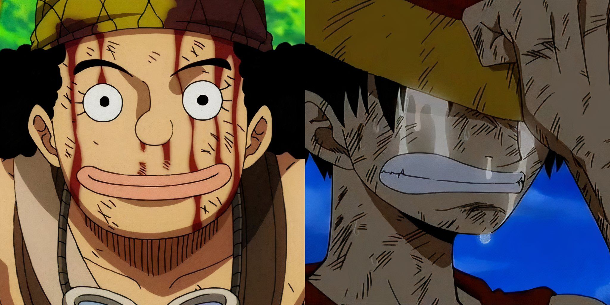 One Piece The Death Of A Straw Hat