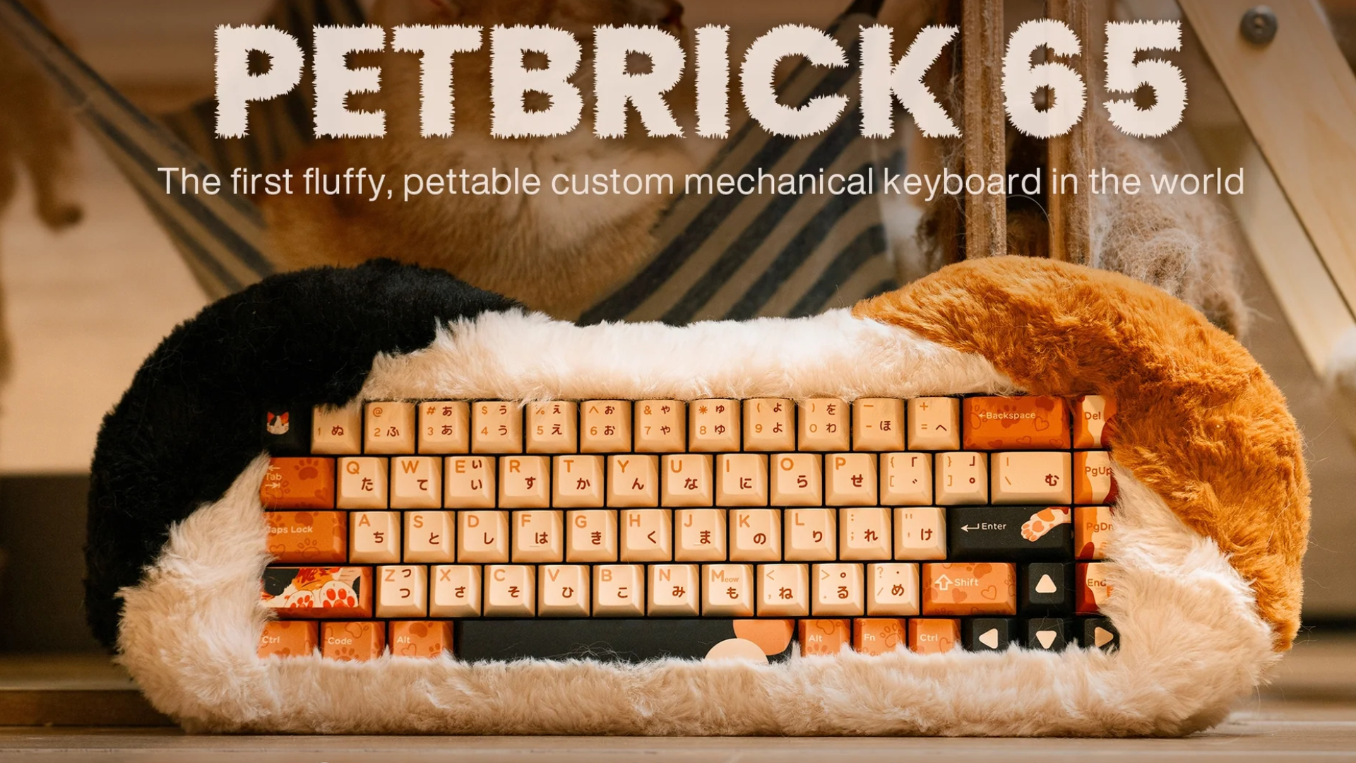 Brown Petbrick 65 cat keyboard