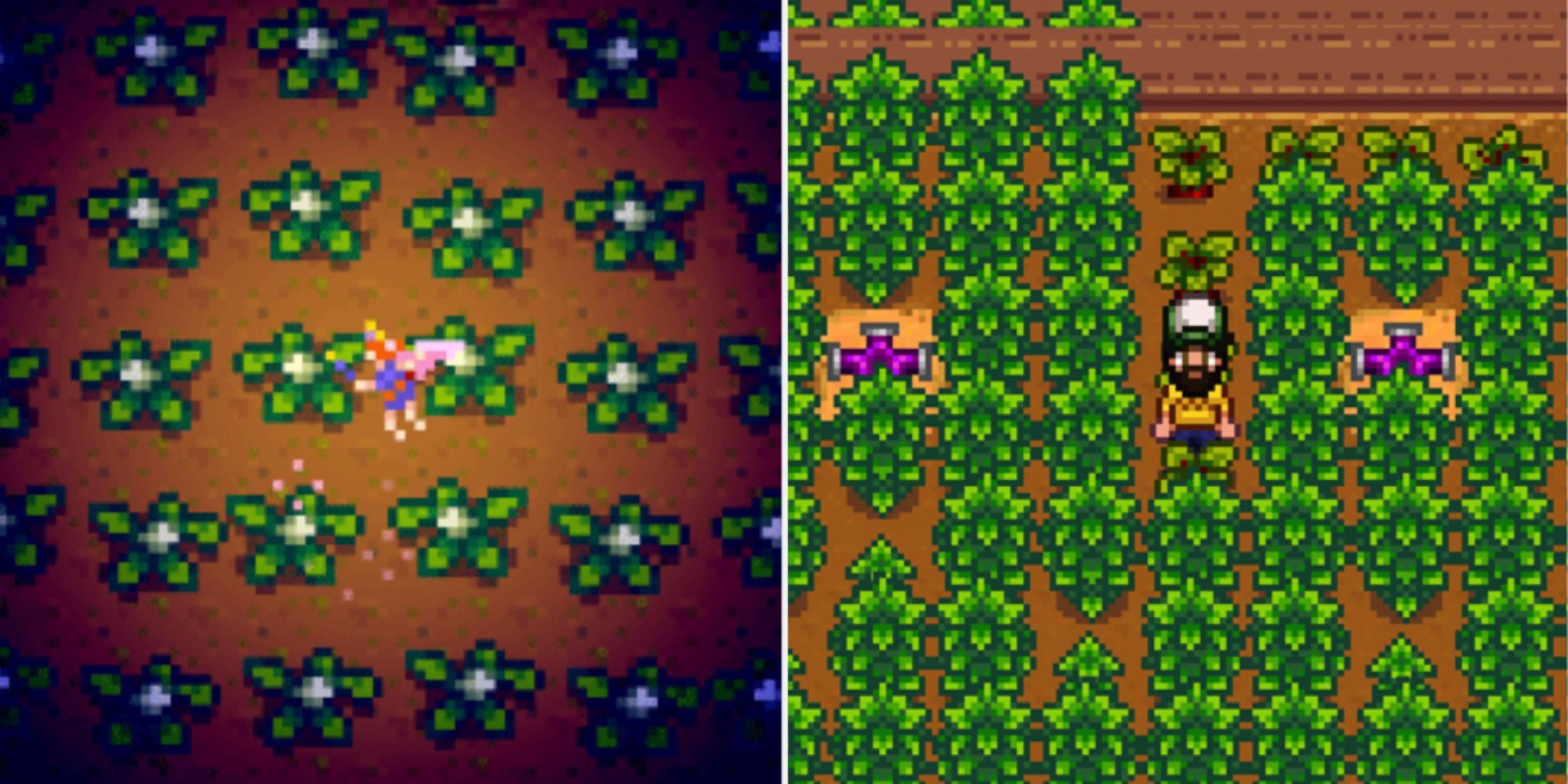 Stardew Valley Crop Fairy Feature Image