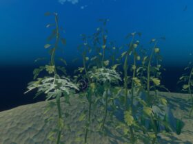 Where To Find Seaweed In Raft