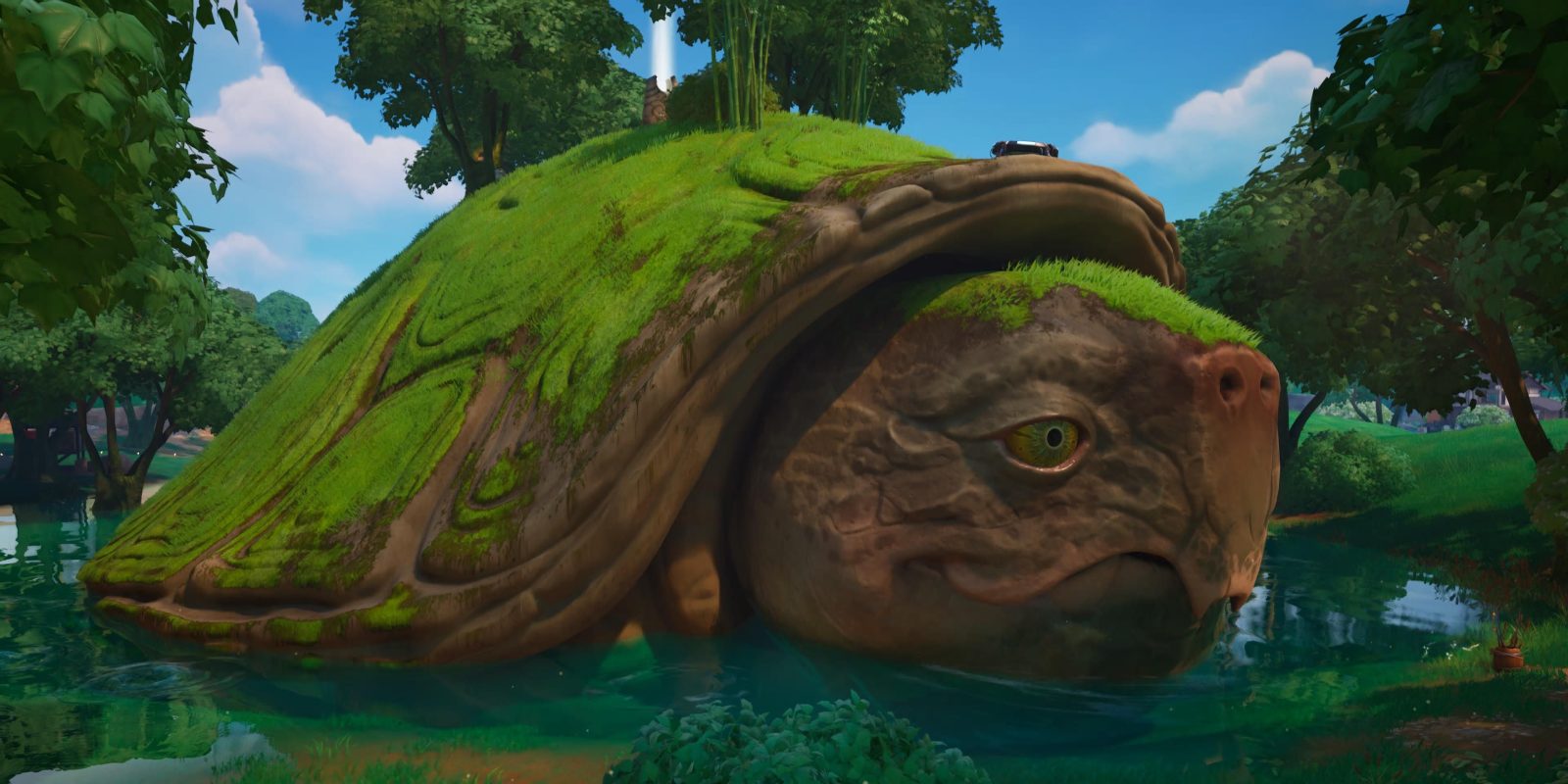 Where to Find the Giant Turtle