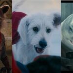 Why Krypto Is The Secret Weapon To James Gunn's DCU Success