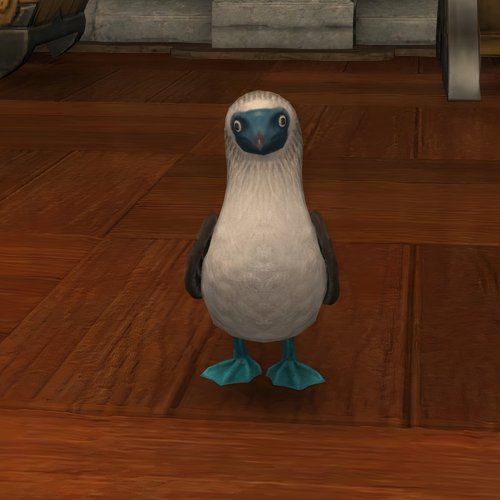 Blue footed Booby minion in Final Fantasy 14.