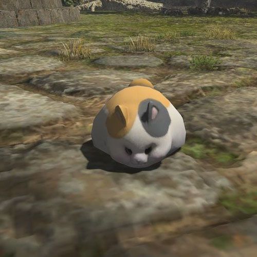 Fat Cat minion in Final Fantasy 14.