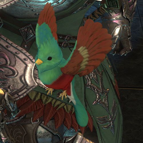 Quetzal minion in Final Fantasy 14.