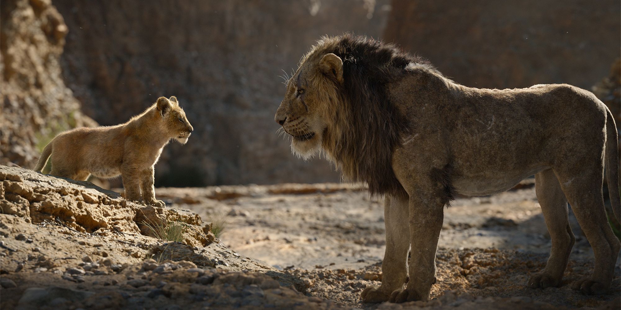 The Lion King (2019)