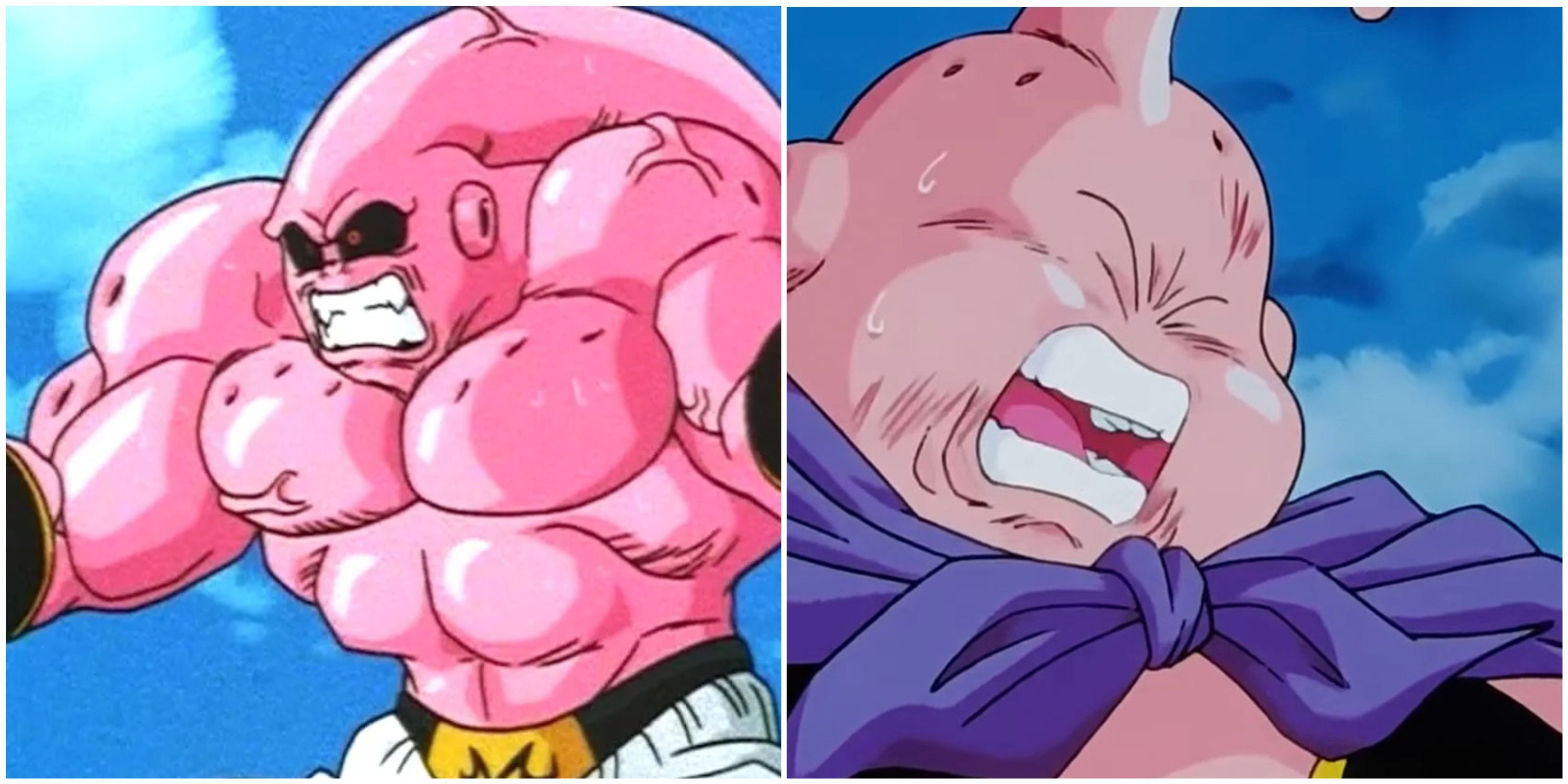 Dragon Ball Z: Majin Buu Weaknesses