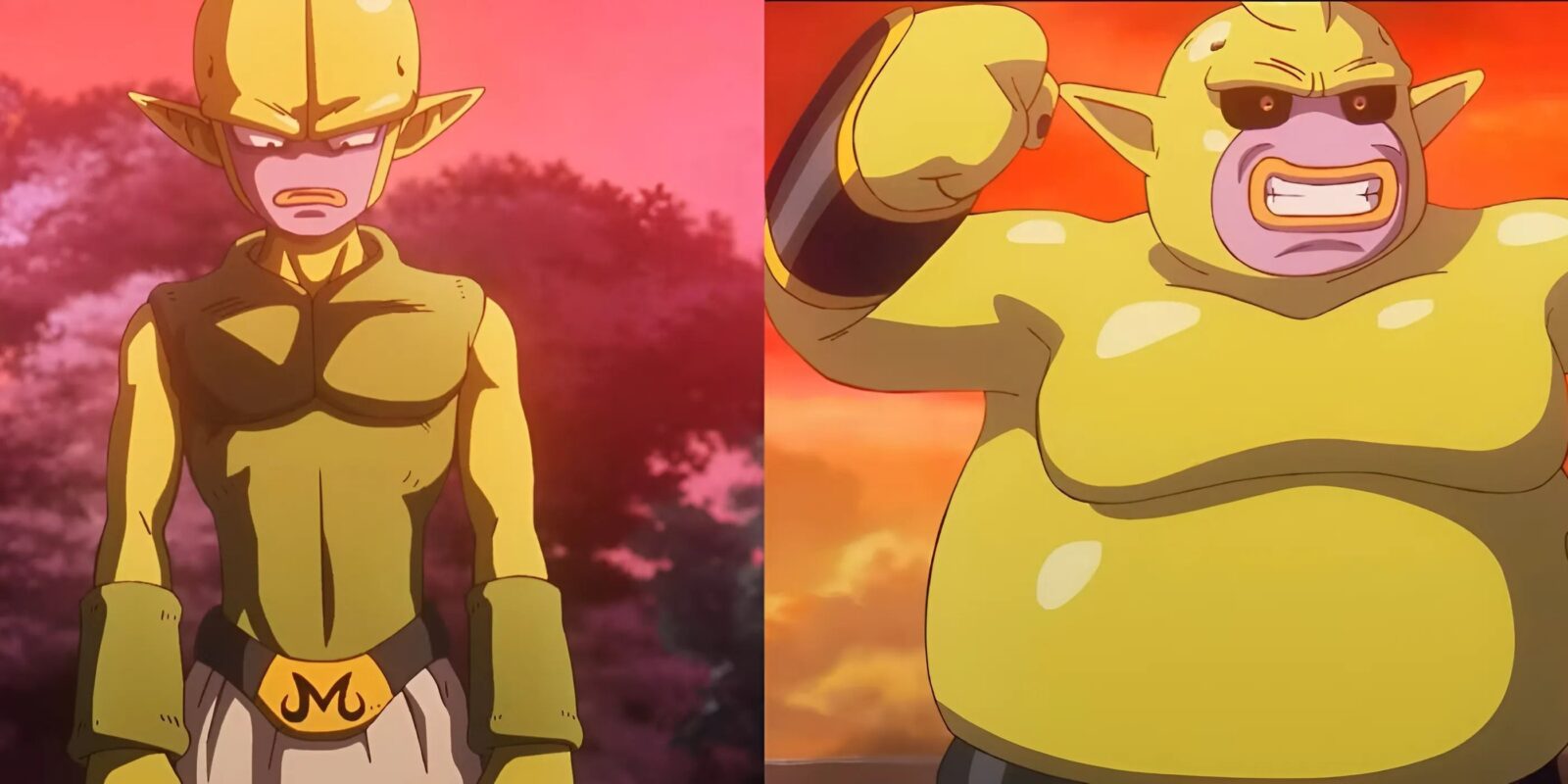 Why Do Majin Kuu and Duu Look So Different from Buu?