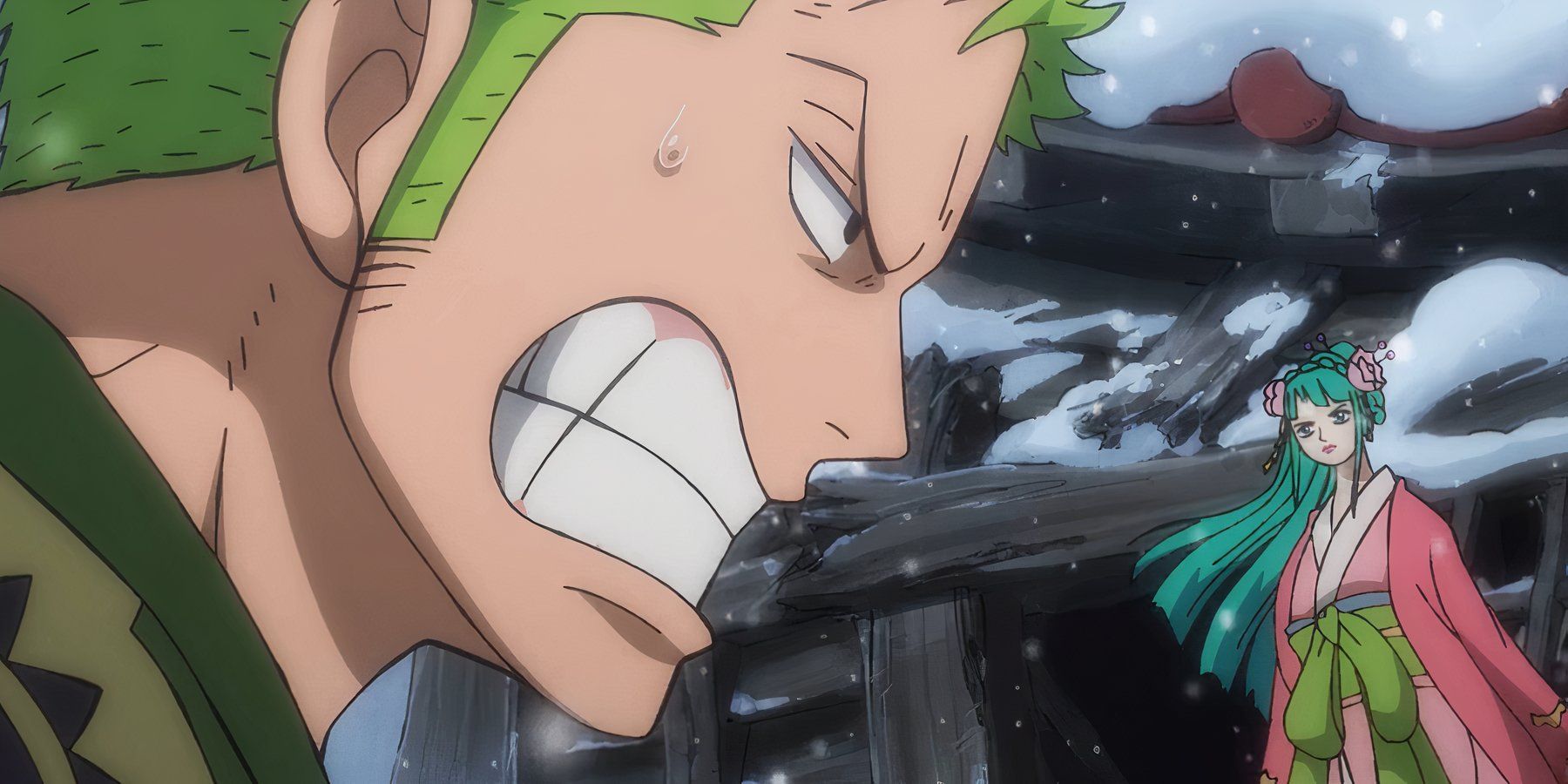 one piece zoro hiyori