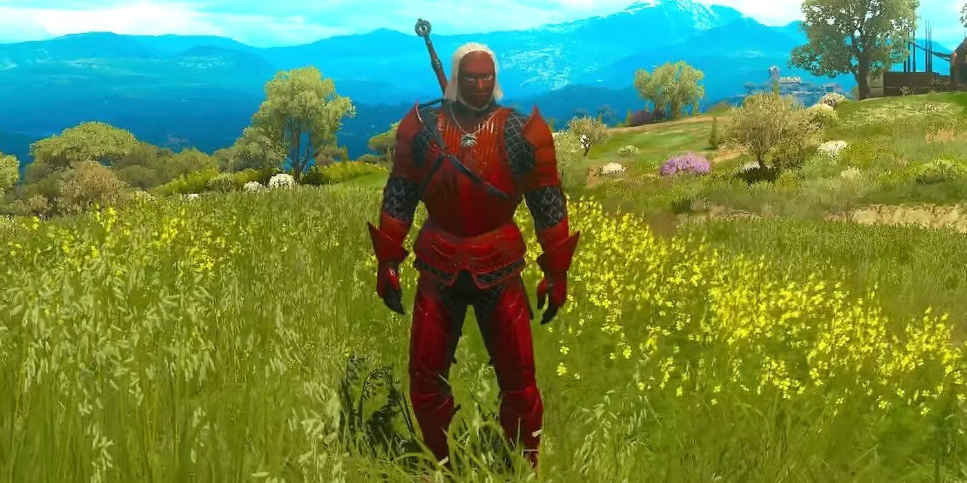 The Witcher 3 Hen Gaidth armor