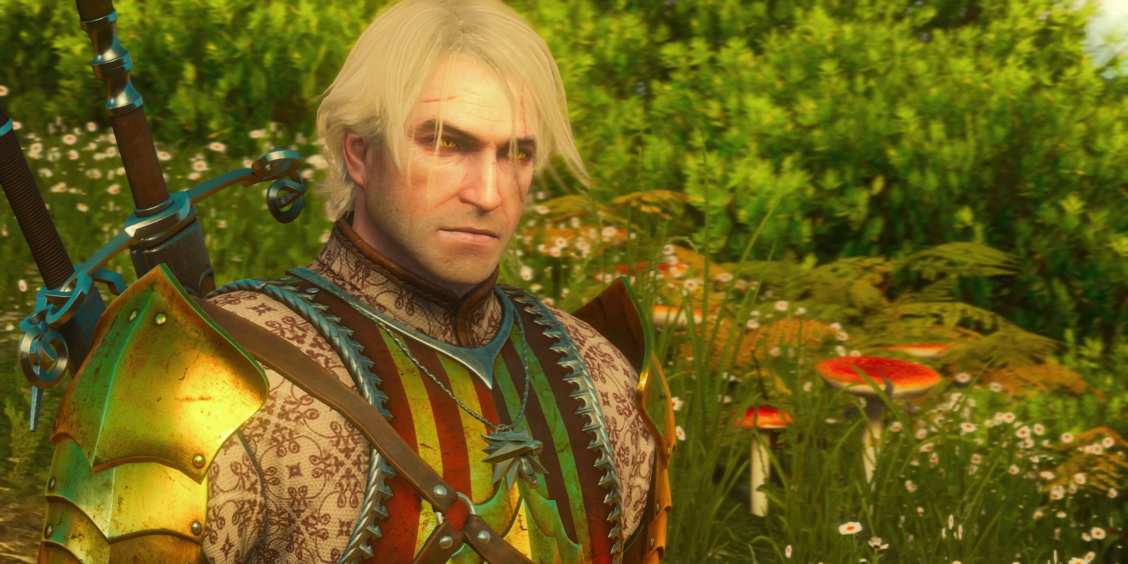 The Witcher 3 Toussaint armor