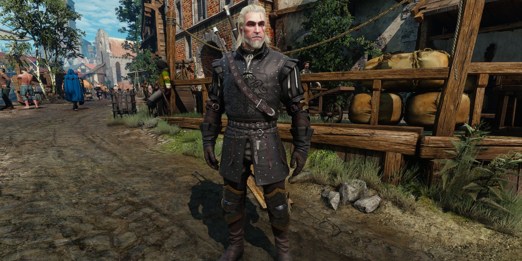 The Witcher 3 - Nilfgaardian Armor-1