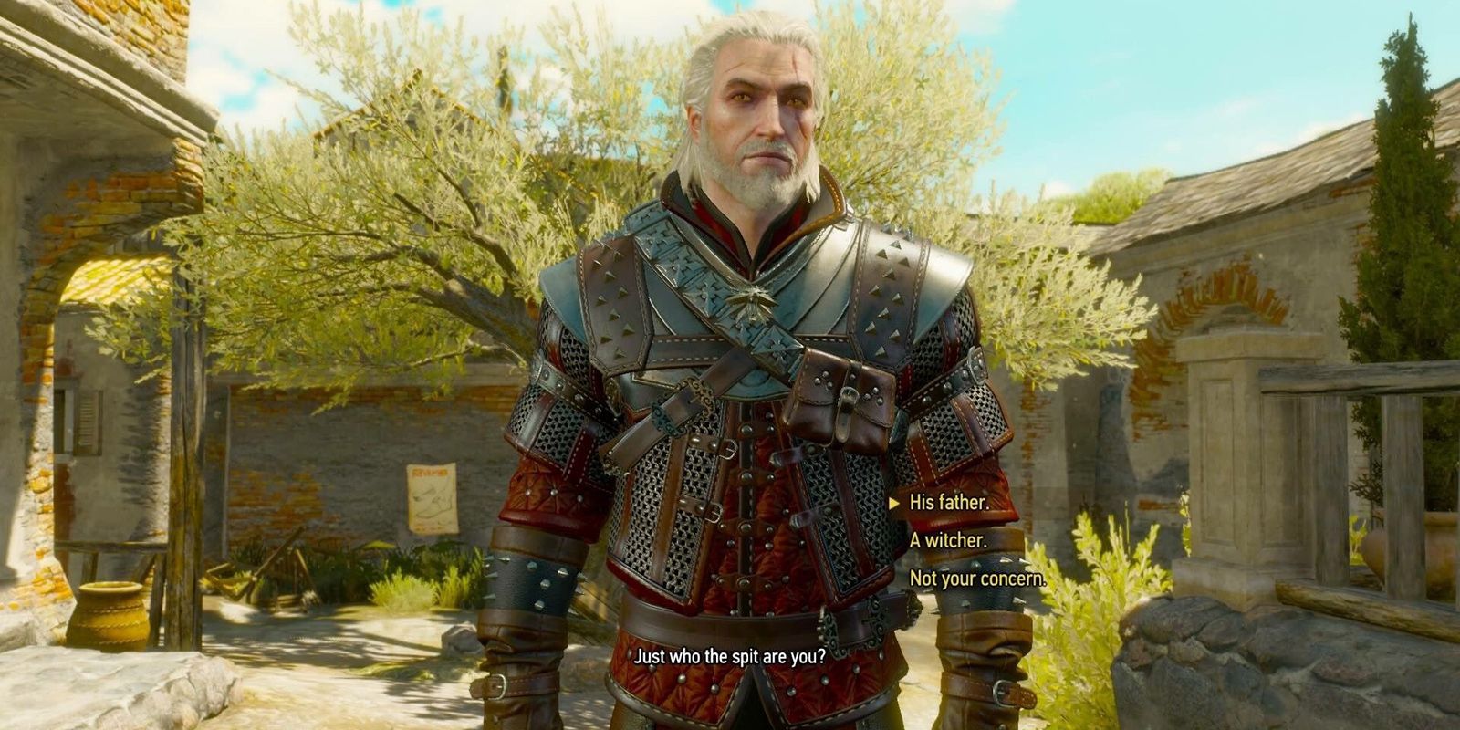 Witcher 3 Grandmaster Wolven Armor