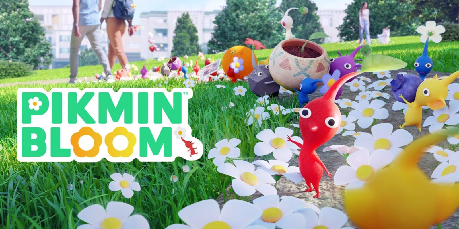 Pikmin Bloom Reveals January 2025 Community Day Plans