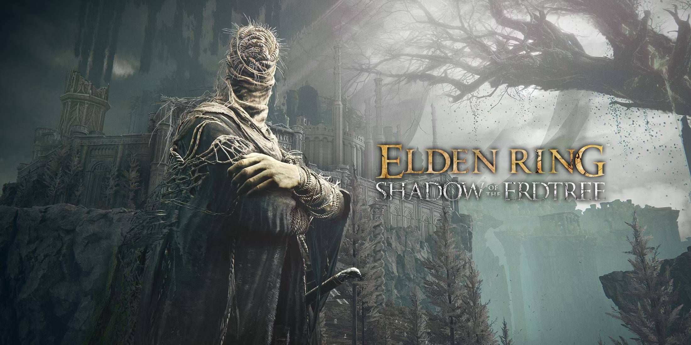 elden ring shadow of the erdtree dlc radahn free runes bug