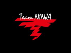 Team Ninja Teases 30th Anniversary Plans