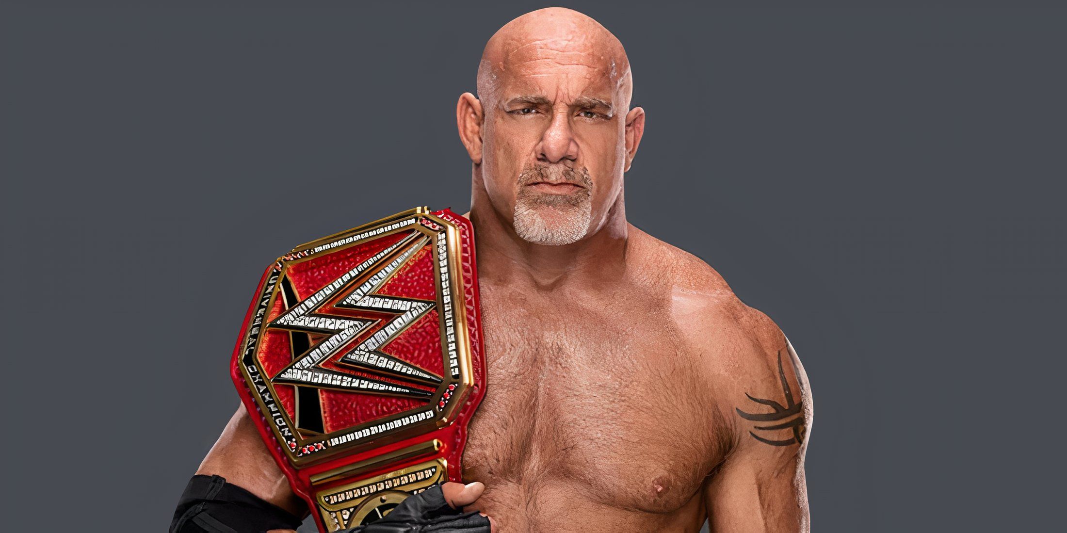 Goldberg in WWE