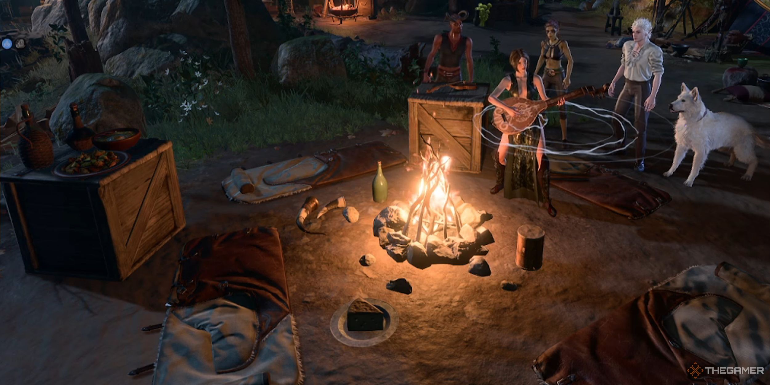 Decorations surrounding the campfire in camp in Baldur's Gate 3.