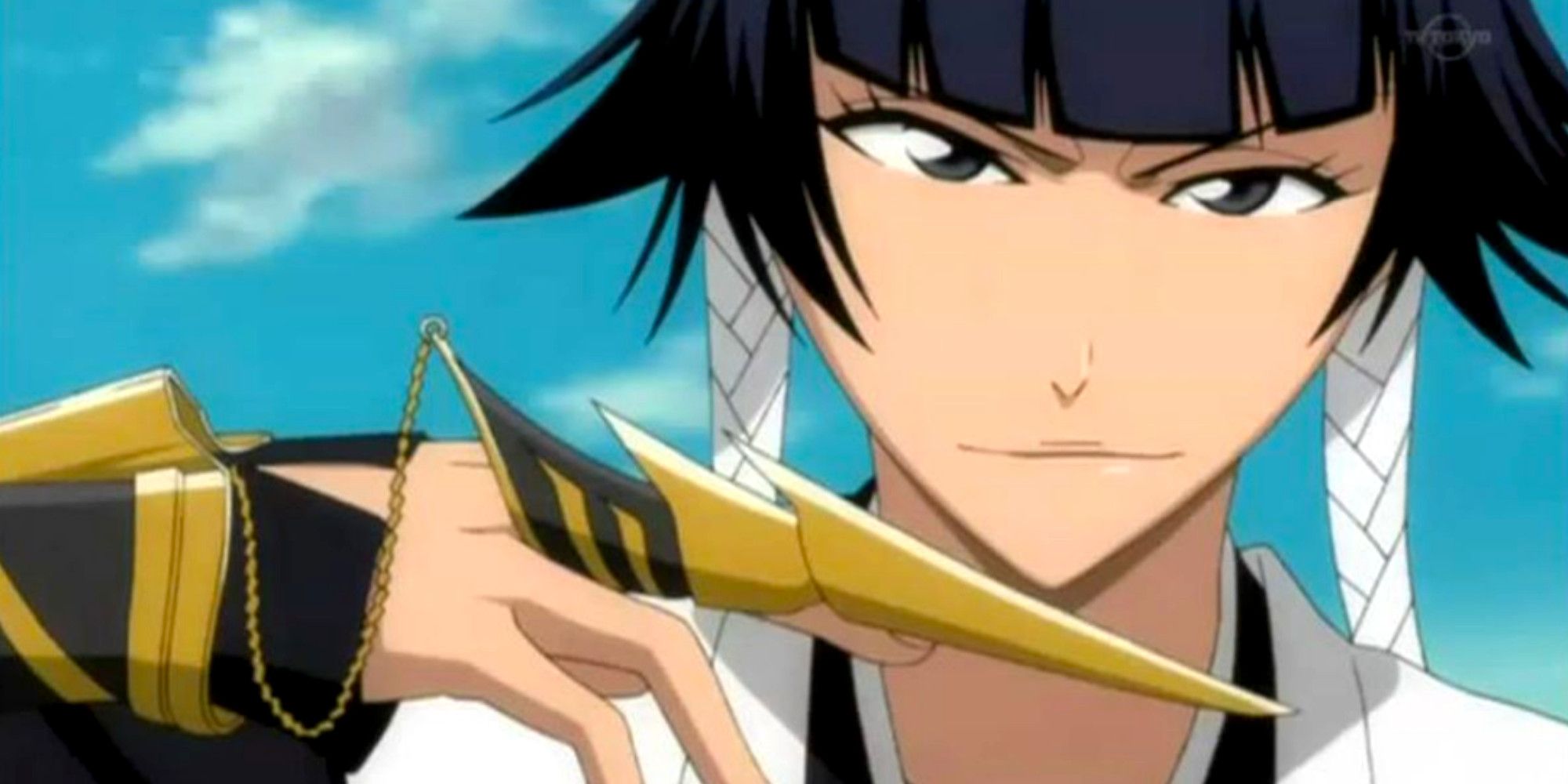 Bleach Gotei 13 Captains Ranked by Likeability Soi-Fon Captain 2nd Division Cruncyroll