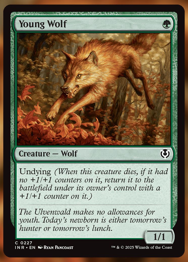 Young Wolf MTG Card.