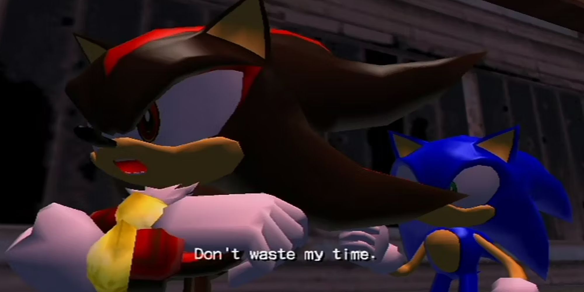 Shadow engaged in a conversation with Sonic.