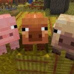 Minecraft's First 2025 Game Drop Includes New Pigs And More Ambient Features