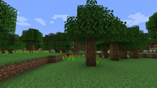 Minecraft biomes - some roses are growing underneath the forest trees.