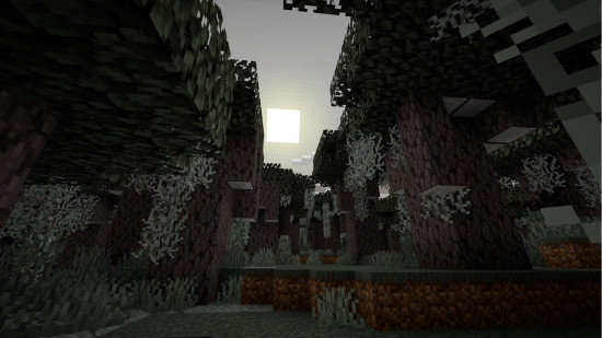 The gloomy Pale Forest biome in Minecraft.