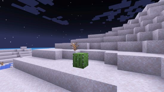 Minecraft biomes - a lone cactus in the middle of a desert.