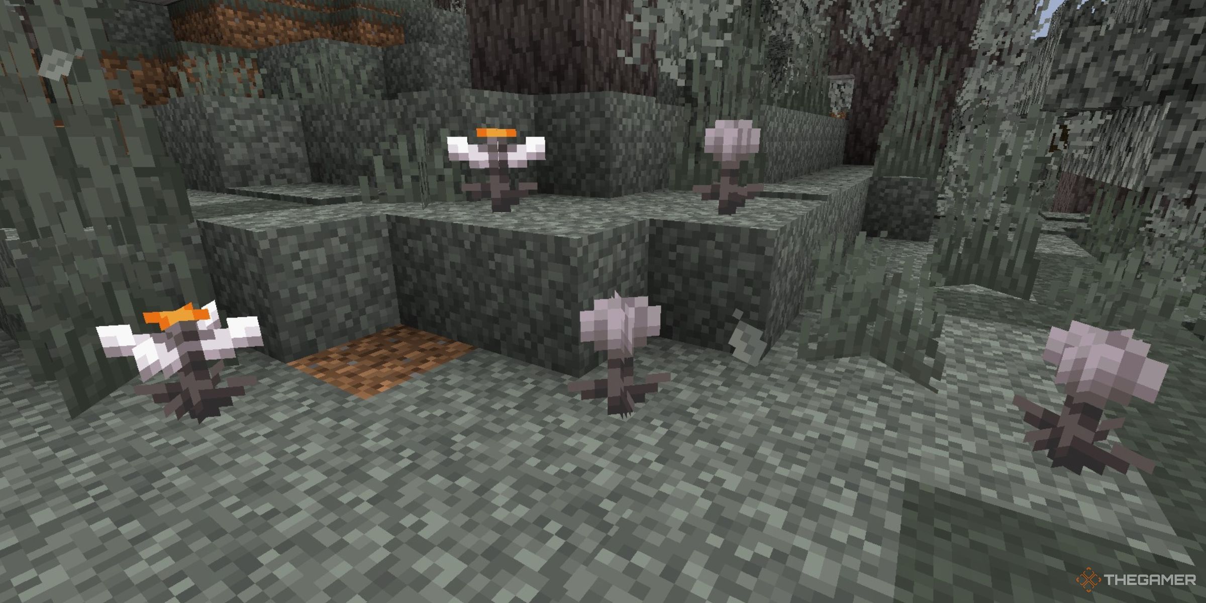 Two Open Eyeblossoms Beside Three Closed Ones In A Pale Garden Biome In Minecraft: The Garden Awakens (1.21.4).