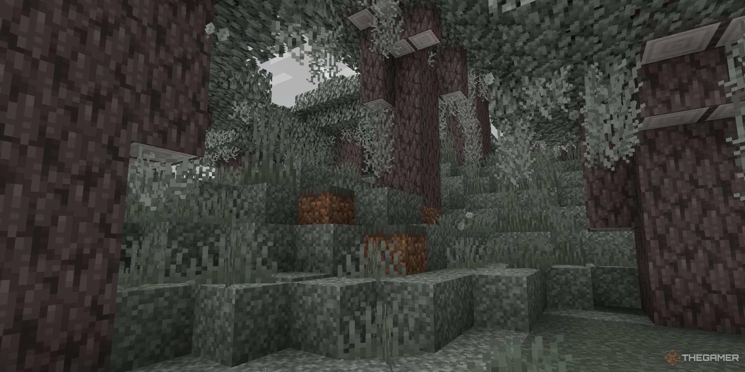 The Pale Garden Biome In Minecraft: The Garden Awakens (1.21.4).