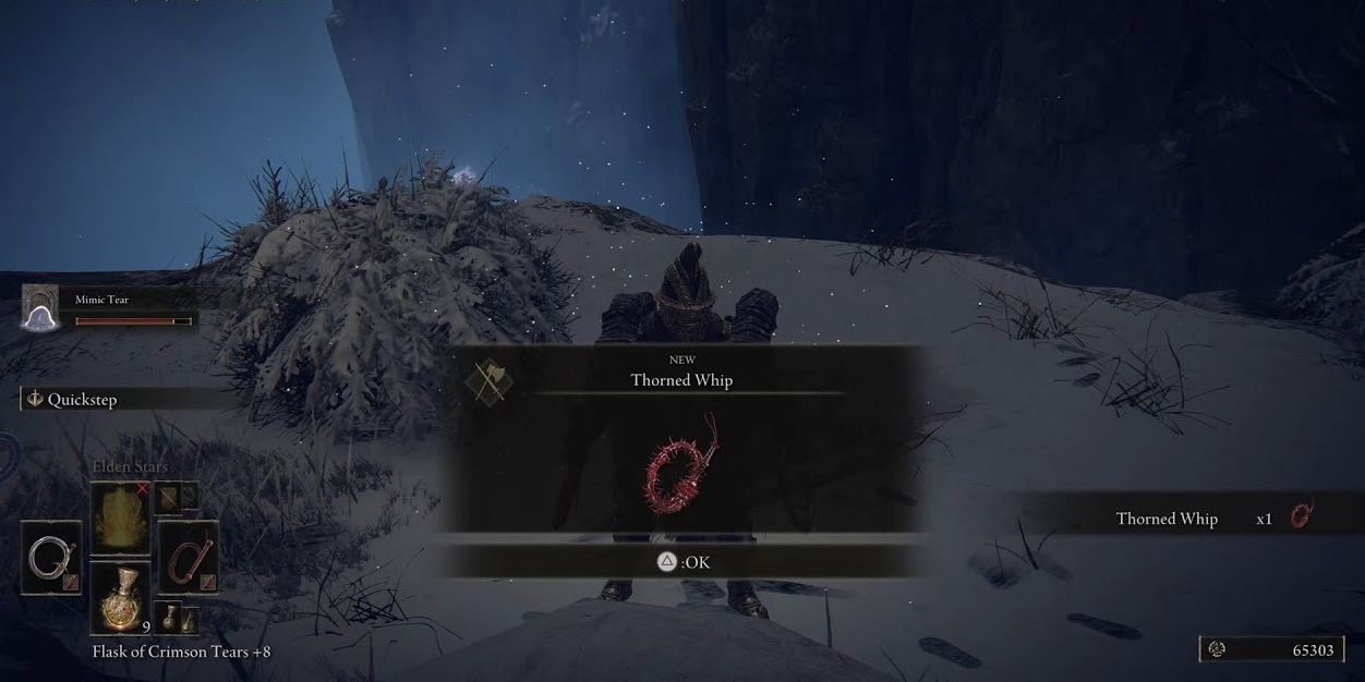 A payer finding the Thorned Whip in a snowy place in Elden Ring