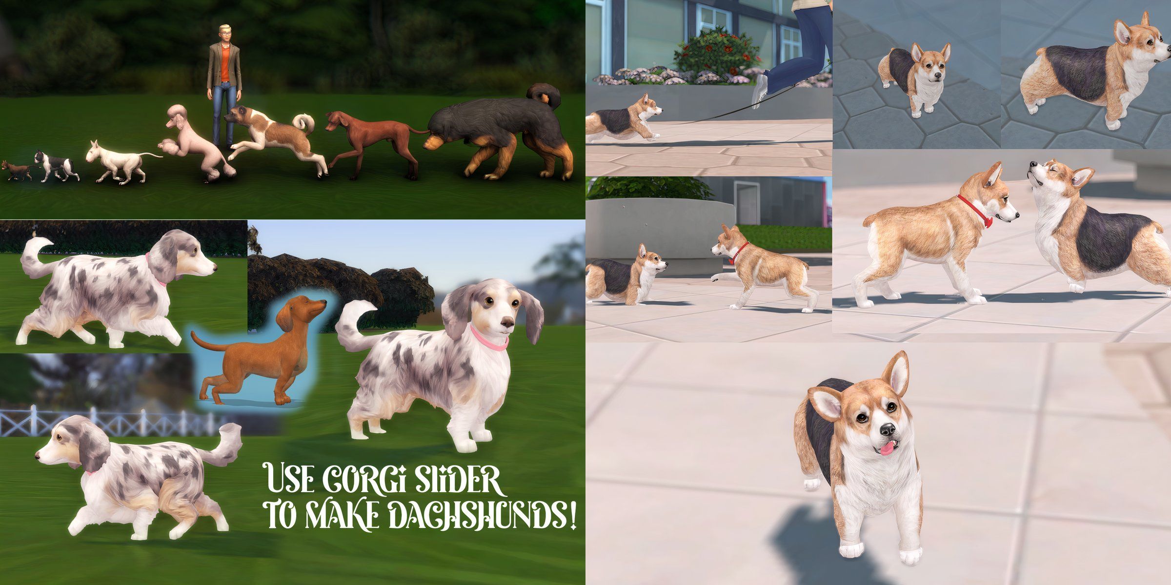 The Pet Height Slider And Corgi Leg Mod