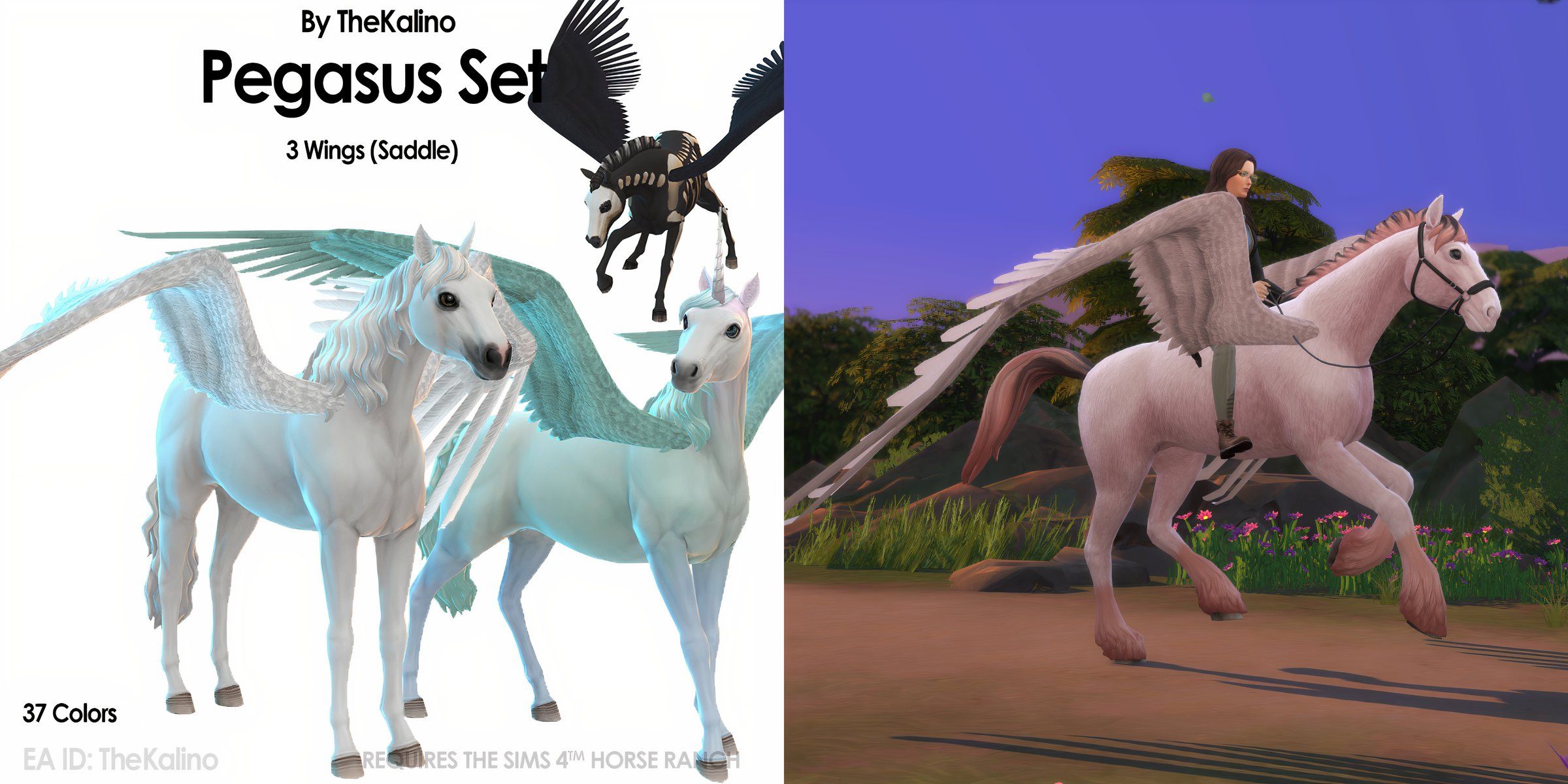 The Pegasus Set for horses