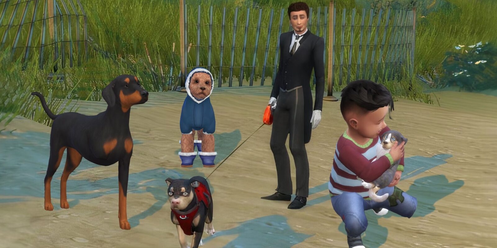 Best Pet Mods In The Sims 4