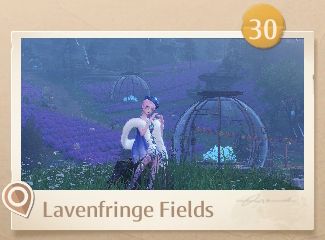 Infinity Nikki Expedition Handbook Photos Wishfield 30 Lavenfringe fields.