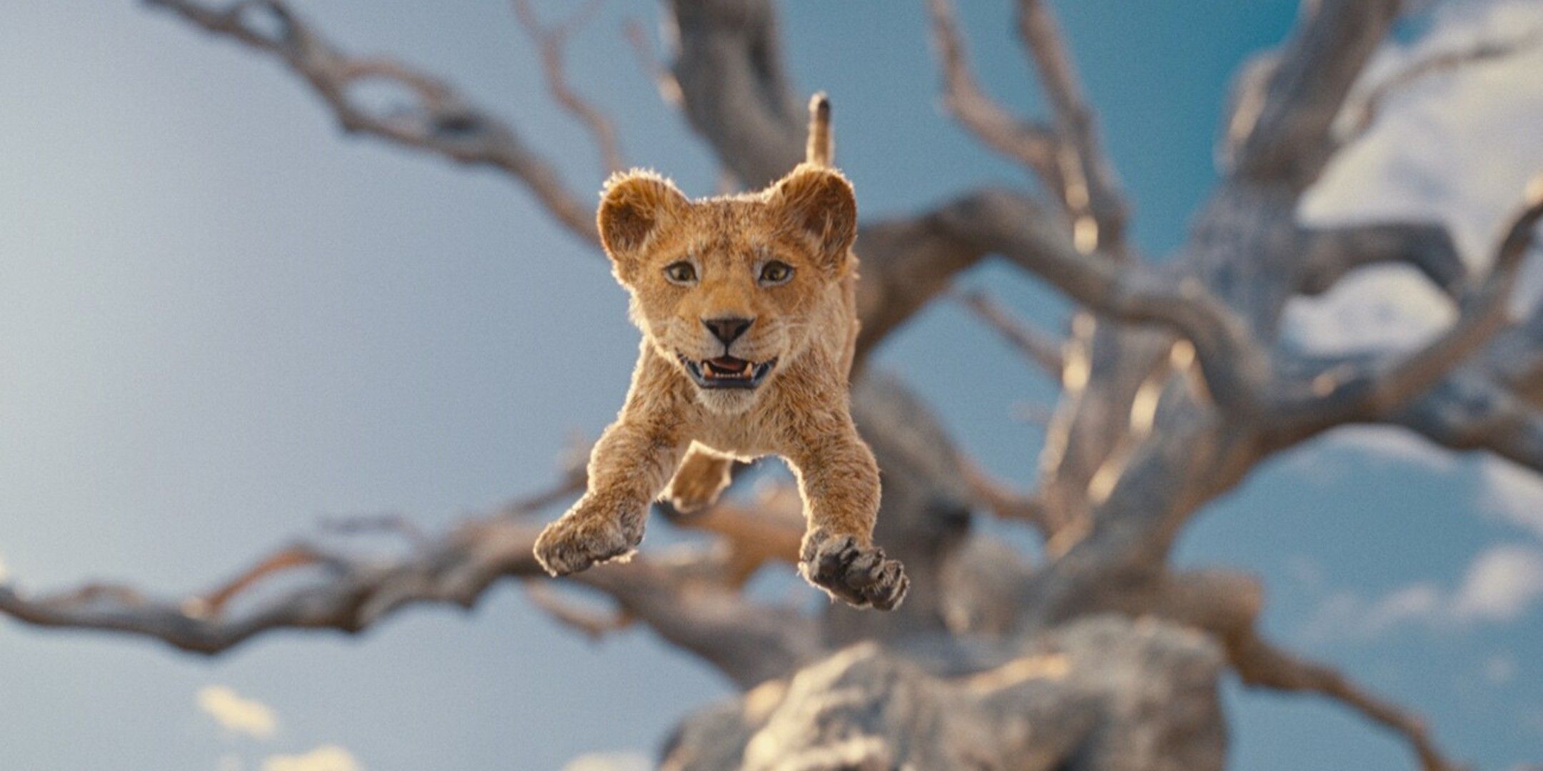 Mufasa as a cub falling from a tree in Mufasa The Lion King.