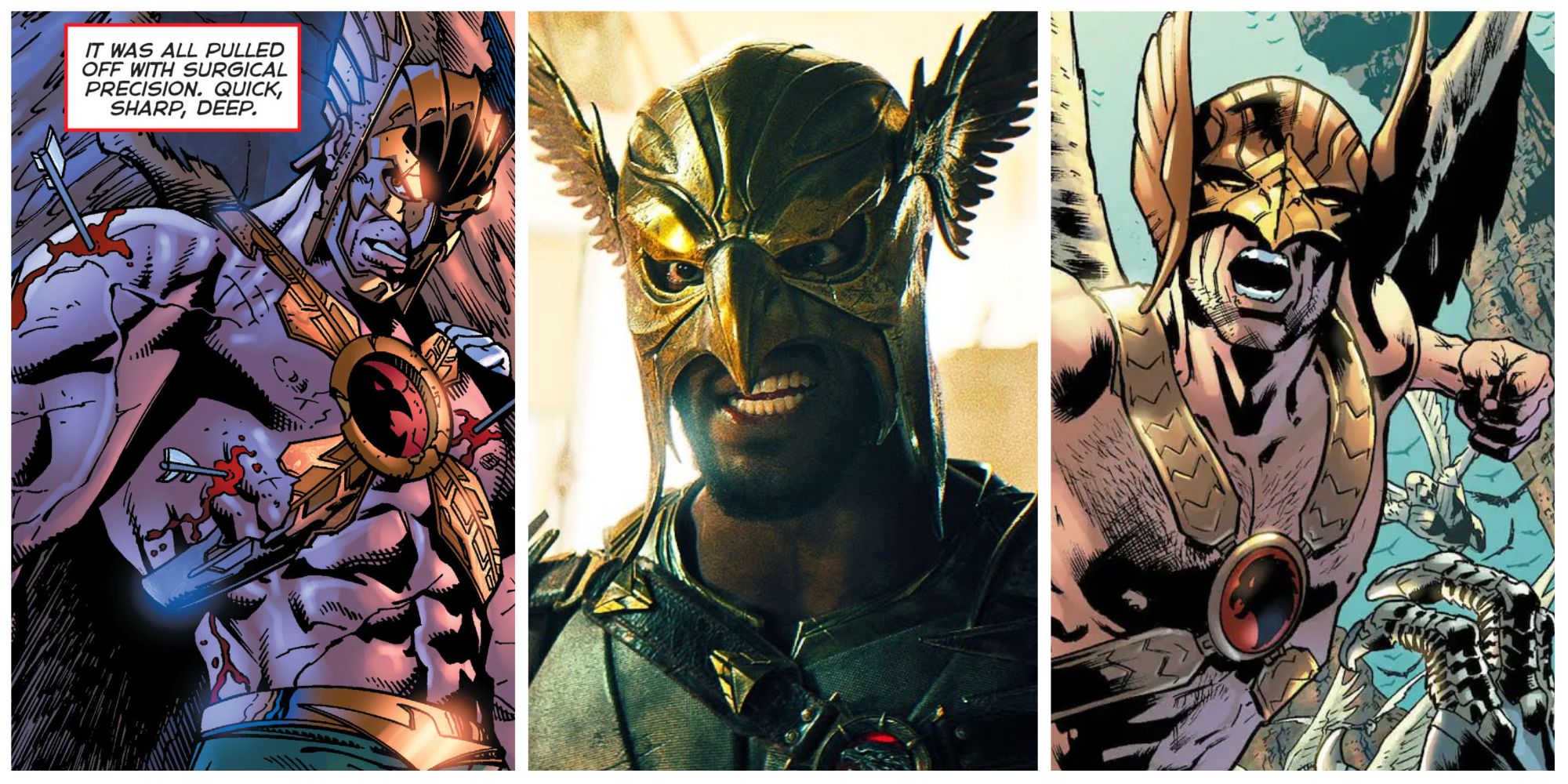 black adam's hawkman played by aldis hodge and hawkman from dc comics