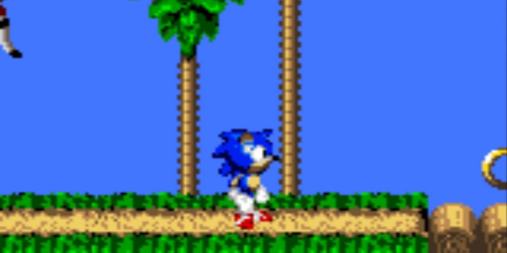 Sonic appears, looking utterly repulsive, in Sonic Blast.